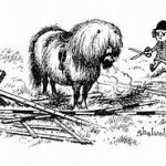 thelwell opkuis